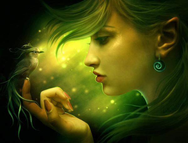 art elena dudina